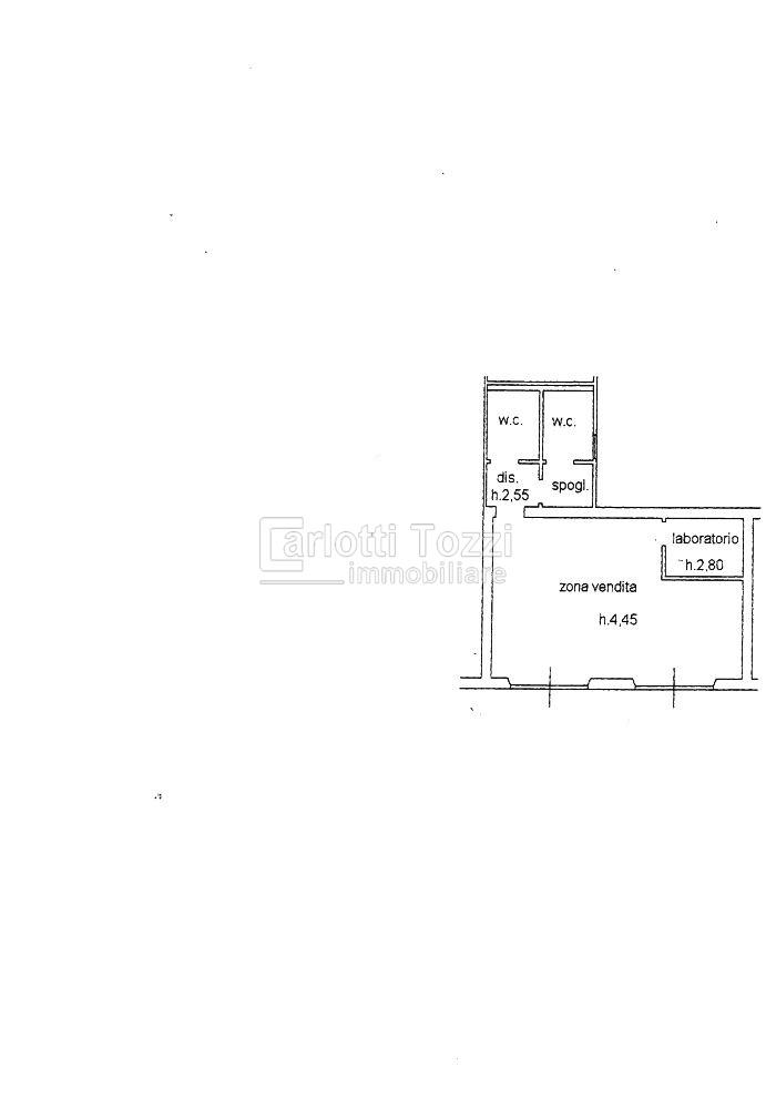 Affitto Locali commerciali, Grosseto foto