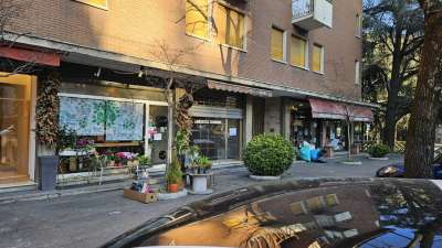 Affitto Bivani, Bologna Affitto Bivani, Bologna