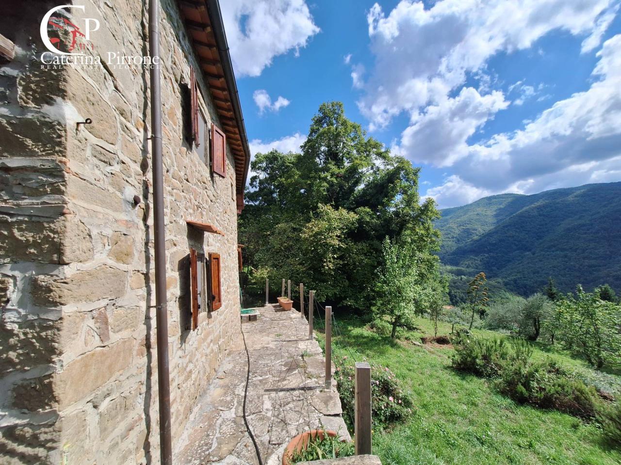 Vendita Rustico, Londa foto