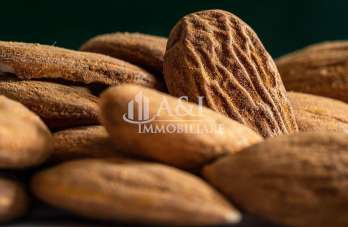 Vendita Alimentari, Cernusco Lombardone Vendita Alimentari, Cernusco Lombardone