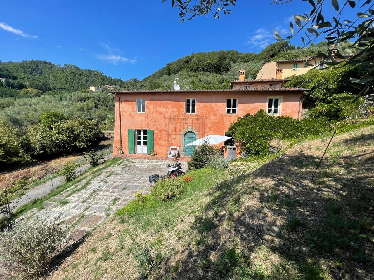 Vendita Multivani, Lucca foto