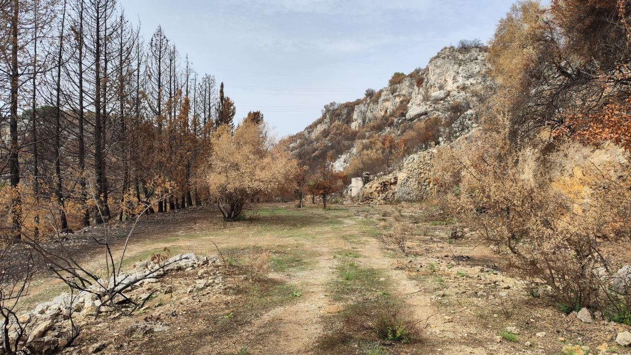Vendita Monovano, Melilli foto