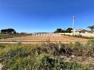 Vendita vendita, Marsala