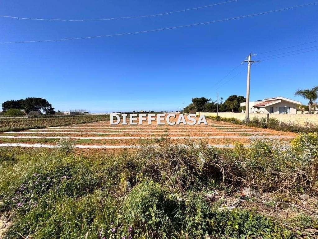 Vendita vendita, Marsala foto