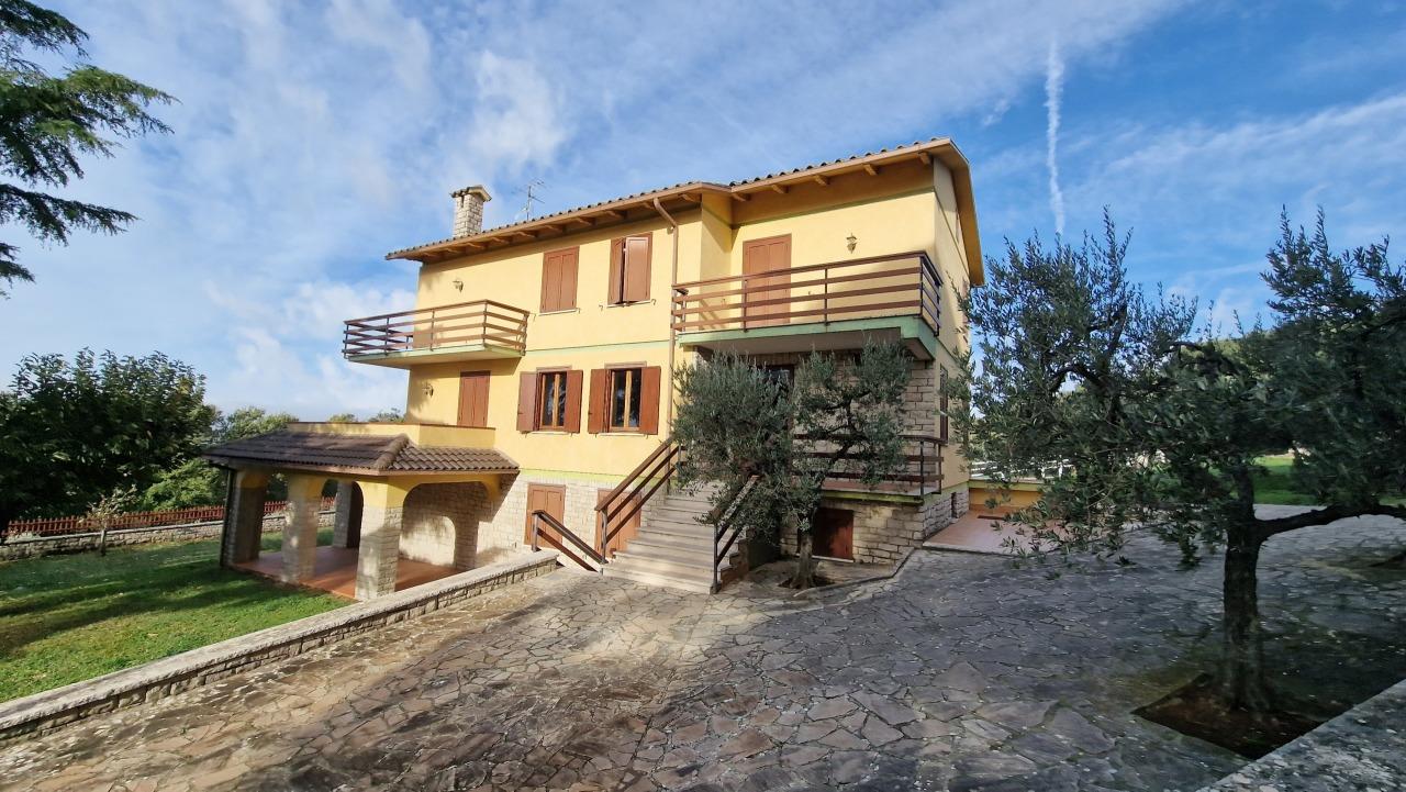 Venta Multivani, Guardea foto