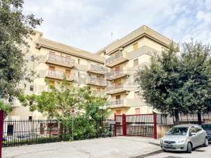 Vendita Quadrivani, Bisceglie Vendita Quadrivani, Bisceglie