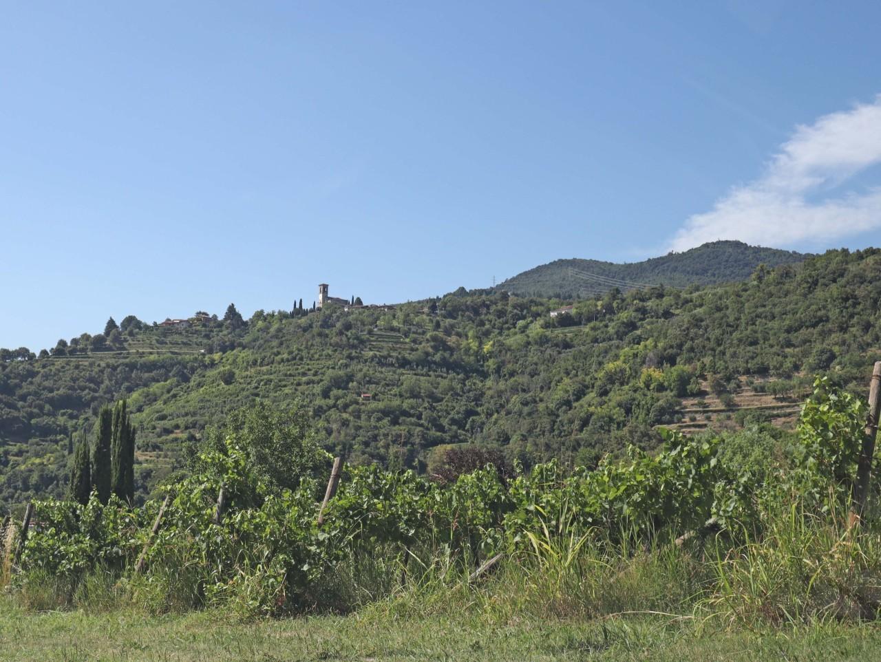 Vendita Quadrivani, Cellatica foto