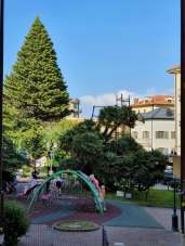 Vendita Bivani, Alassio