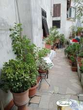 Vendita Casa indipendente, Ameglia Vendita Casa indipendente, Ameglia