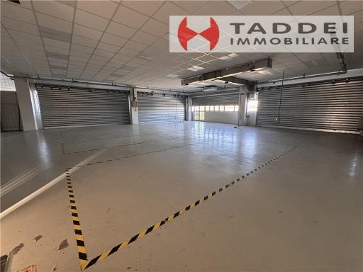 Vendita ARTIGIANALE, Scandicci Vendita ARTIGIANALE, Scandicci foto