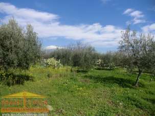 Vendita vendita, Belpasso