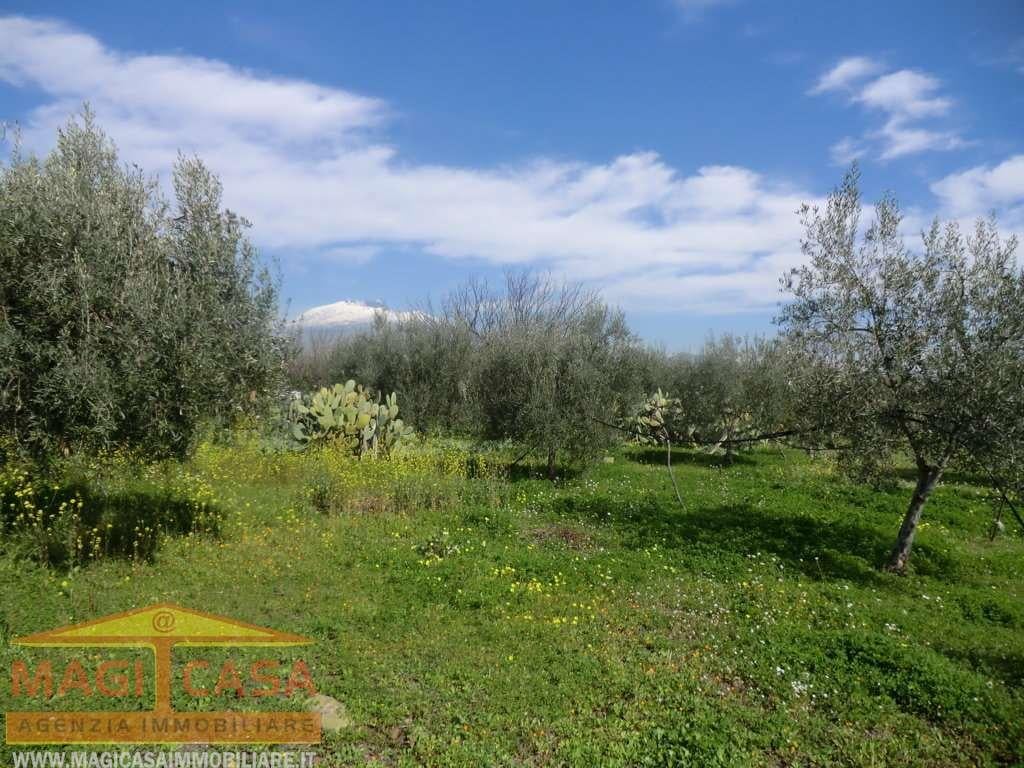 Vendita vendita, Belpasso Vendita vendita, Belpasso foto