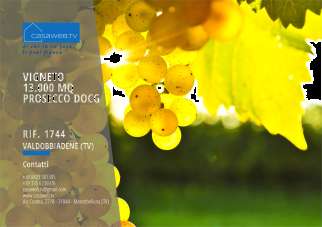 Vendita vendita, Valdobbiadene Vendita vendita, Valdobbiadene