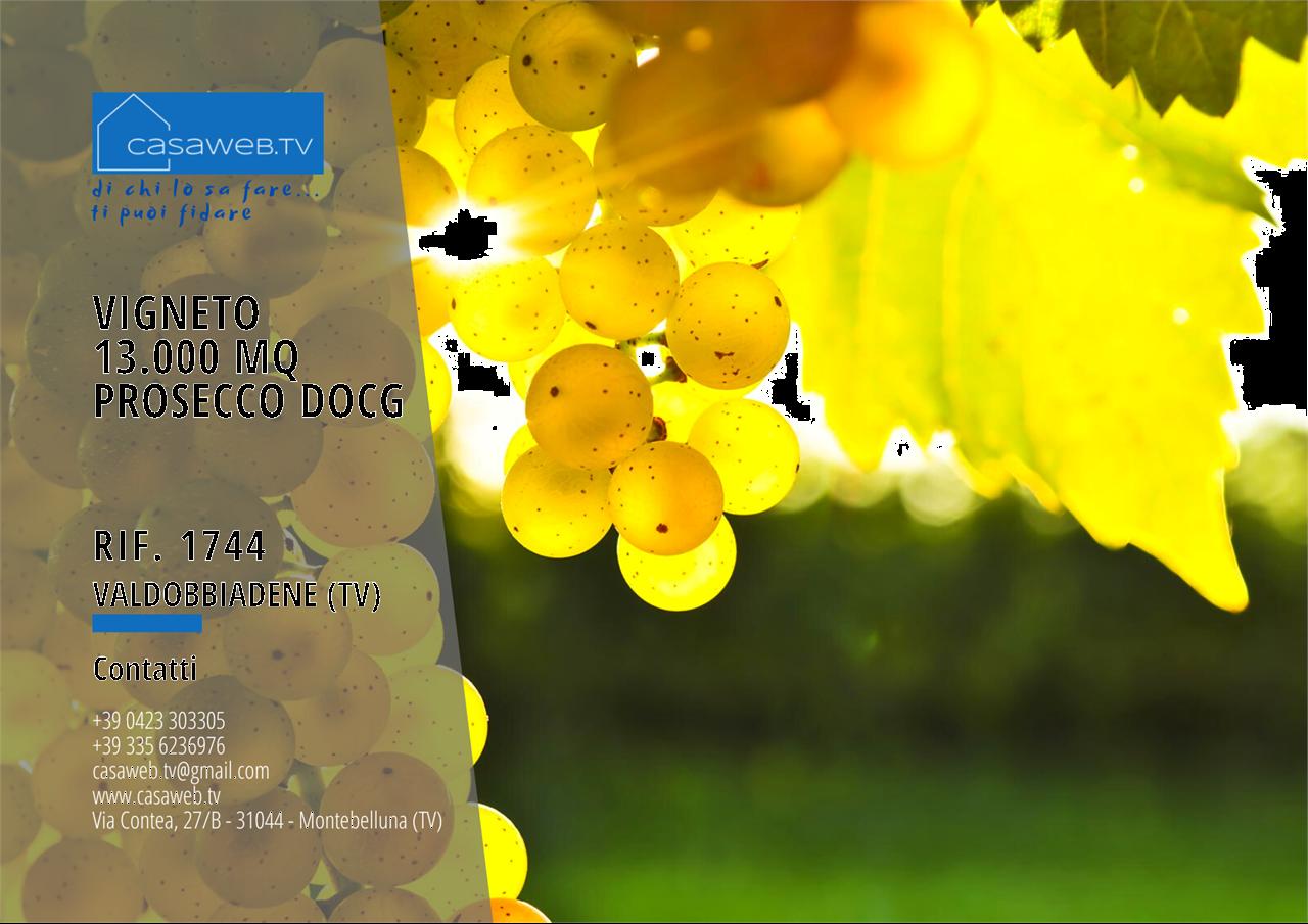 Vendita vendita, Valdobbiadene Vendita vendita, Valdobbiadene foto