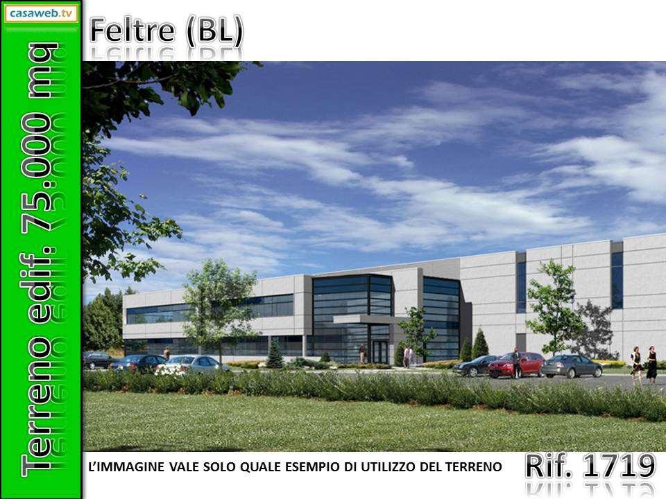 Vendita vendita, Feltre foto