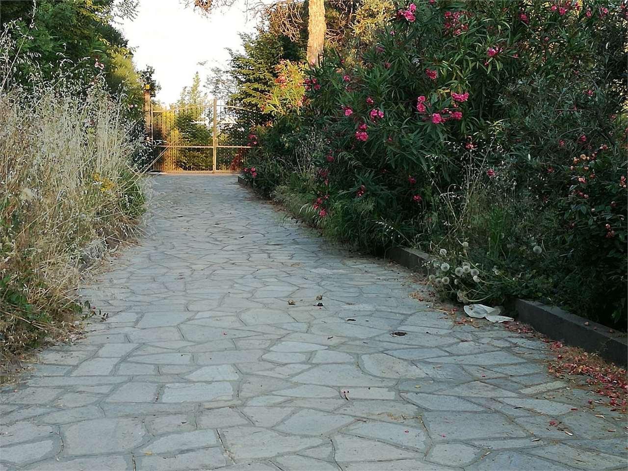 Venta vendita, Arnasco foto