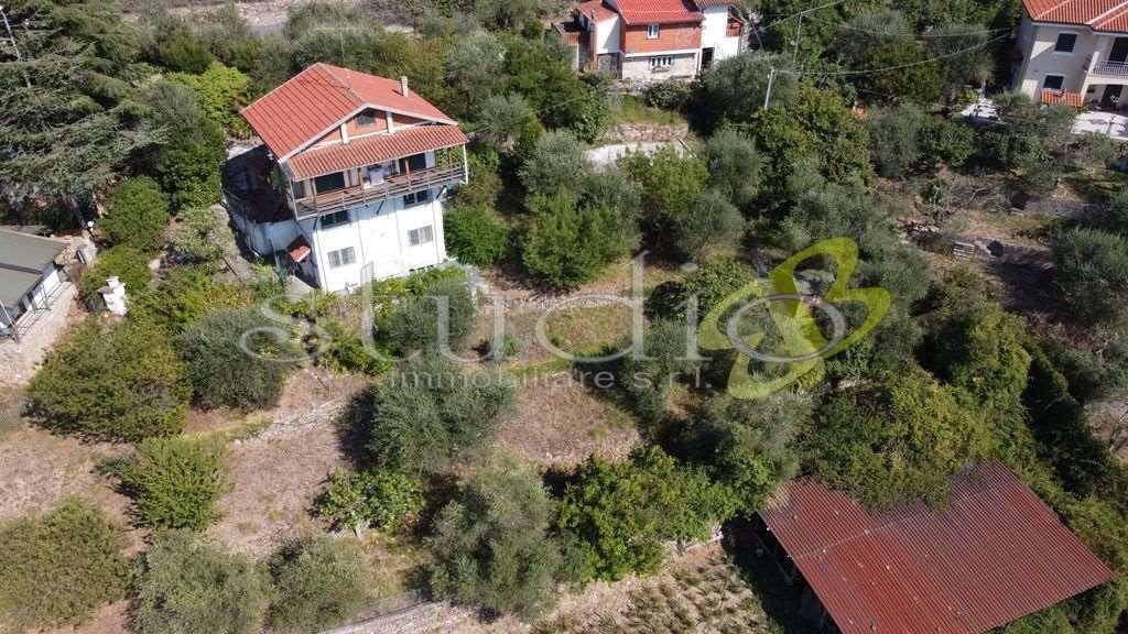 Vendita vendita, Seborga foto