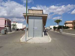 Vendita vendita, San Donaci