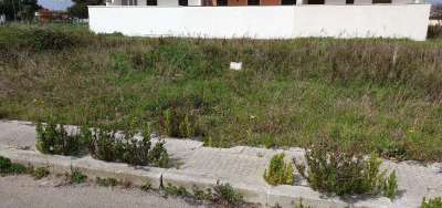 Vendita vendita, San Donaci