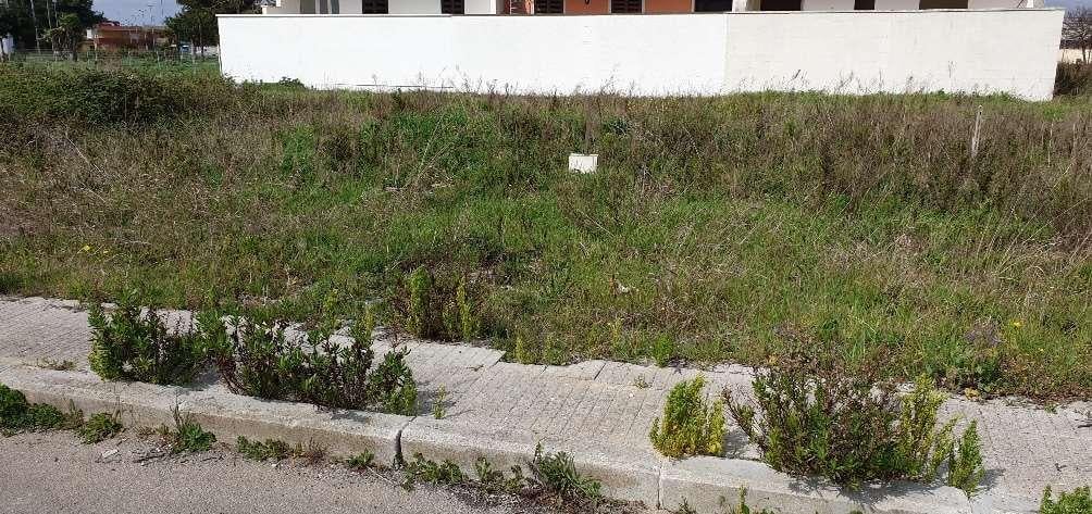 Vendita vendita, San Donaci foto