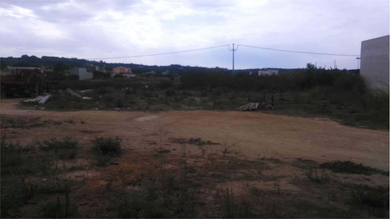 Vendita vendita, Marsala foto