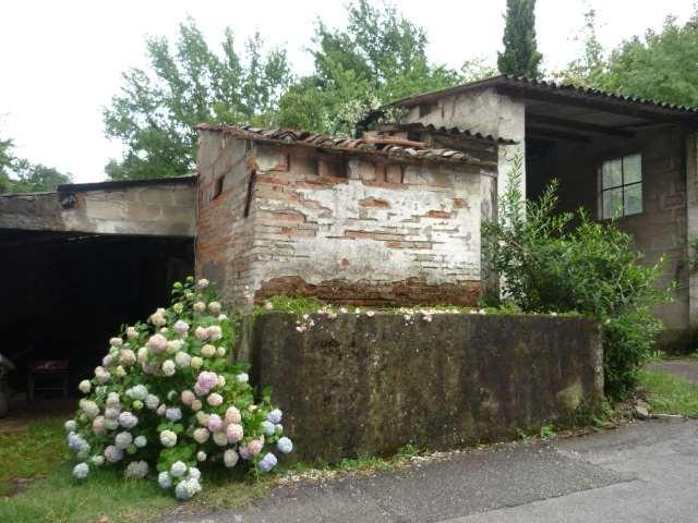 Vendita vendita, Capannori foto