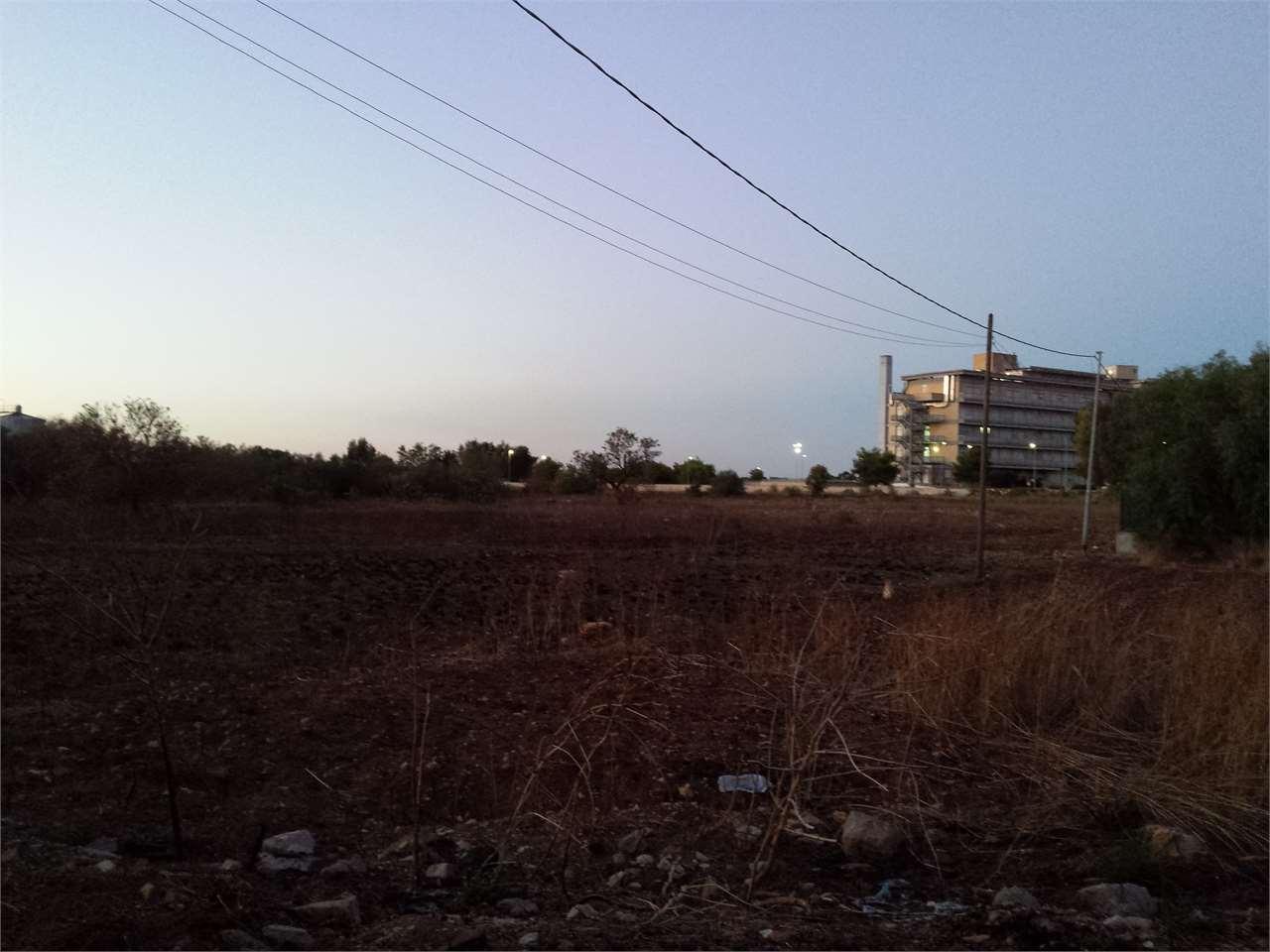 Vendita vendita, Campi Salentina foto