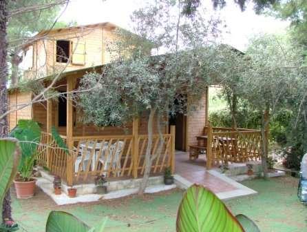 Affitto affitto, Marsala Affitto affitto, Marsala foto