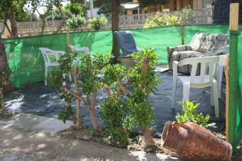 Affitto affitto, Marsala