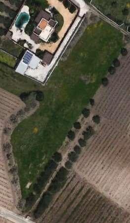 Vendita vendita, Marsala foto