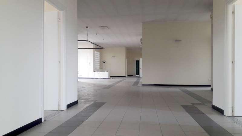 Affitto affitto, Lucca foto