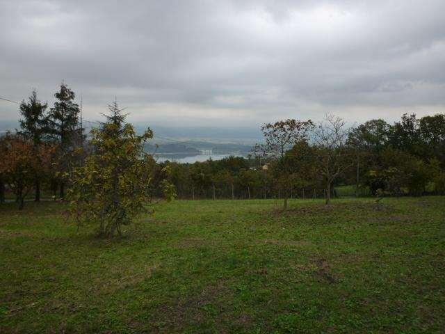 Vendita vendita, Altopascio foto