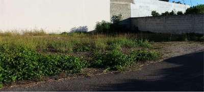 Vendita vendita, San Donaci