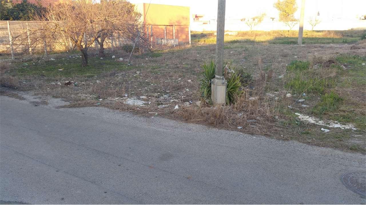 Vendita vendita, Cellino San Marco foto