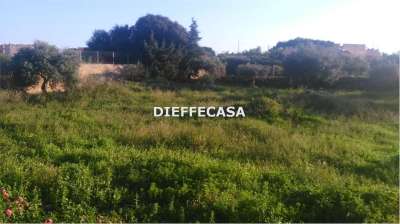 Vendita vendita, Marsala