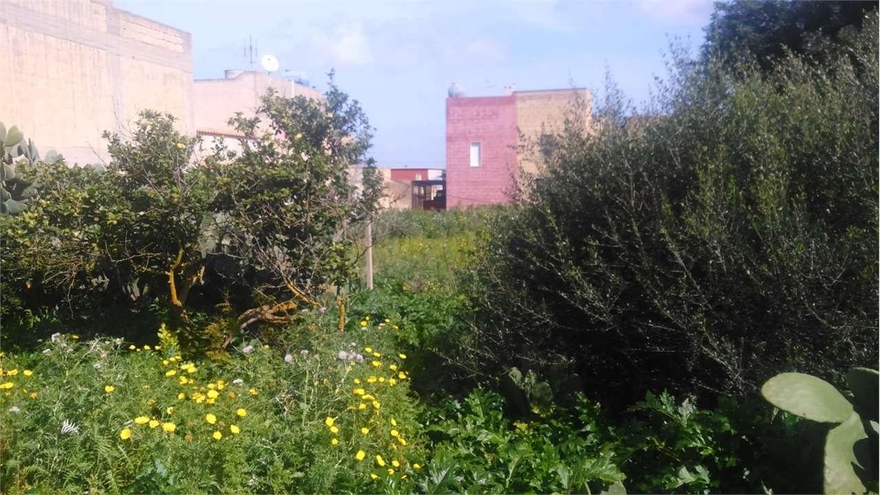 Vendita vendita, Marsala foto