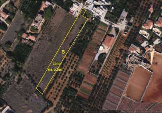 Vendita vendita, Marsala