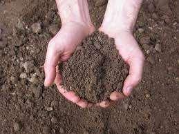 Vendita vendita, Petrosino Vendita vendita, Petrosino foto