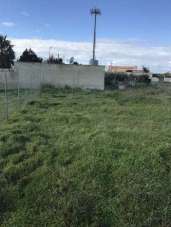 Vendita vendita, Petrosino Vendita vendita, Petrosino