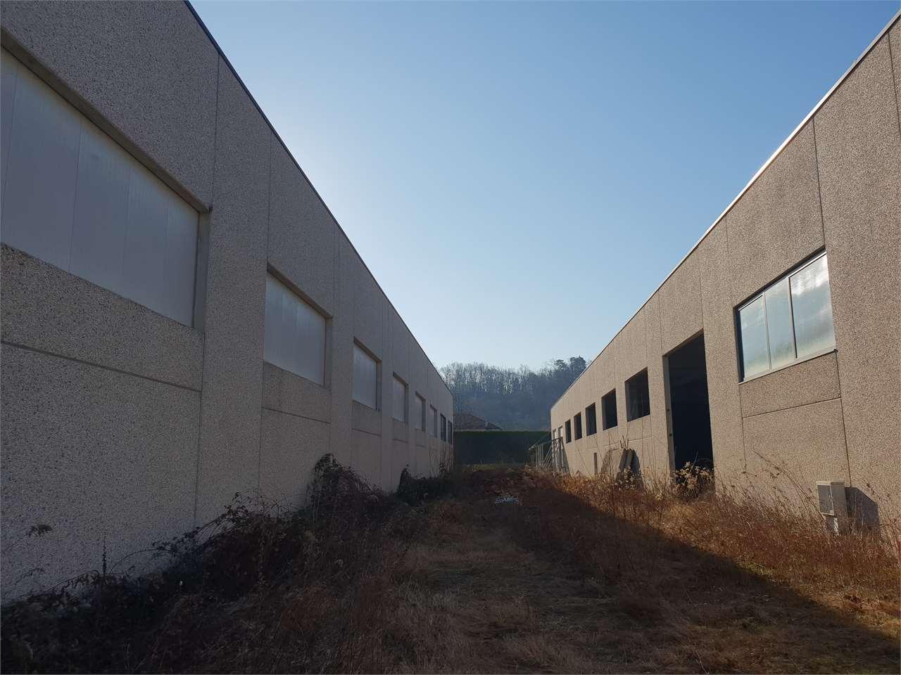 Vendita vendita, Castelletto sopra Ticino foto