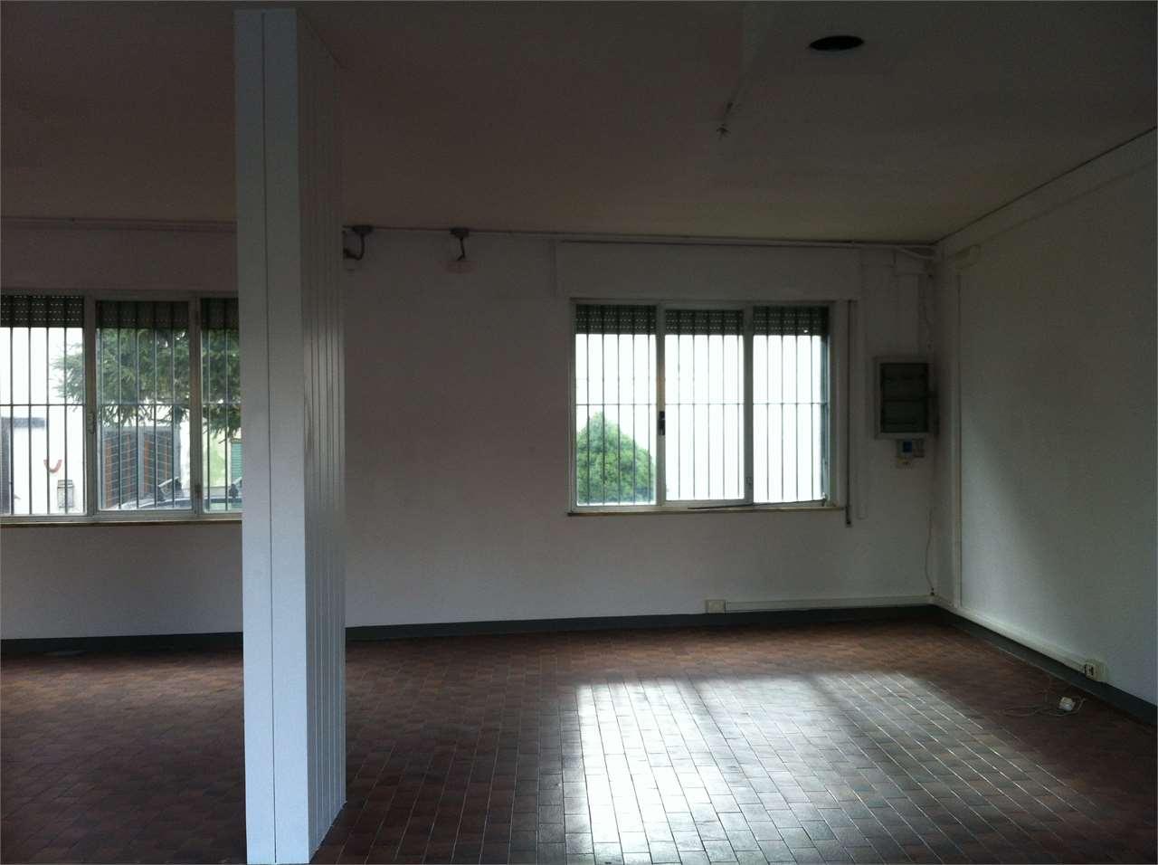 Affitto affitto, Lucca Affitto affitto, Lucca foto