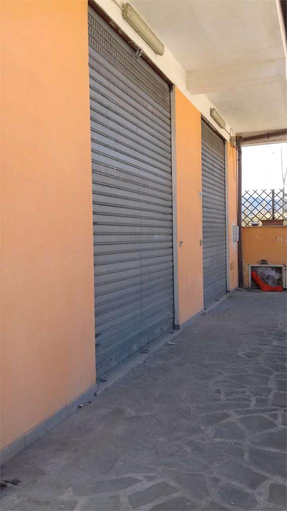 Affitto affitto, Frosinone foto