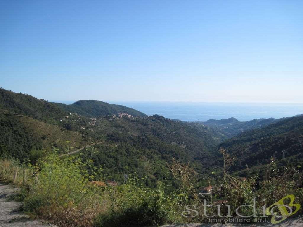 Vendita vendita, Seborga foto