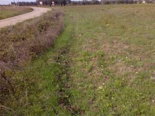 Vendita vendita, San Donaci Vendita vendita, San Donaci