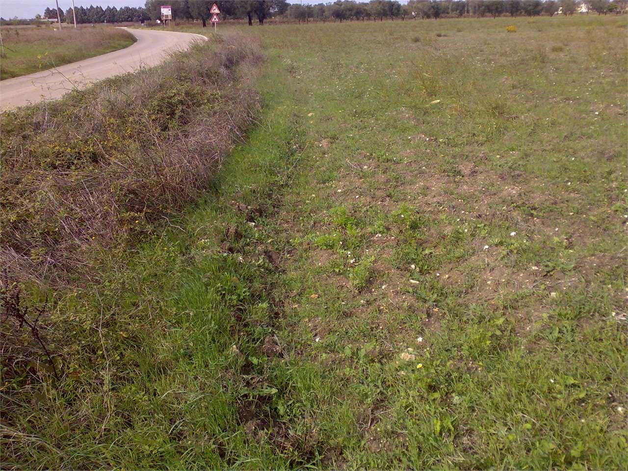 Vendita vendita, San Donaci foto