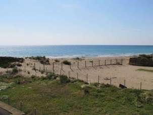 Affitto affitto, Marsala