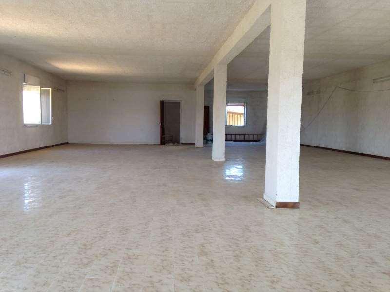 Affitto affitto, Marsala foto