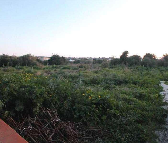 Vendita vendita, Marsala foto