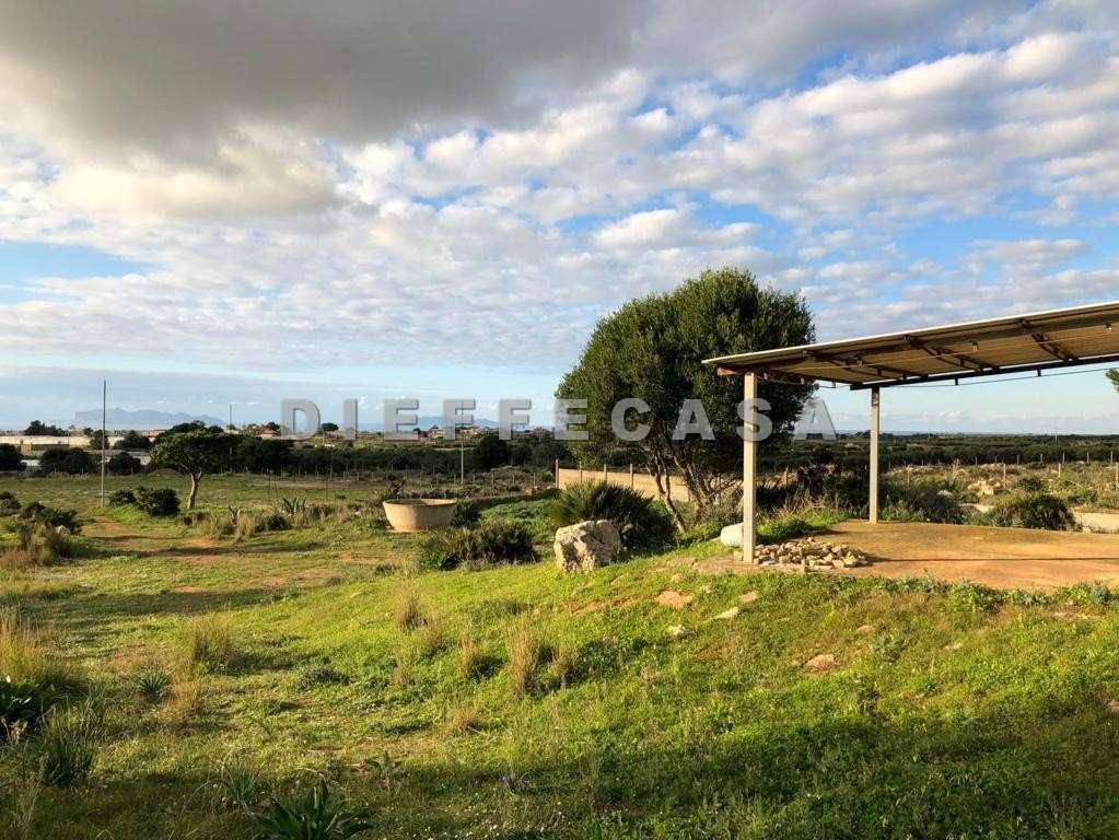 Vendita vendita, Marsala foto