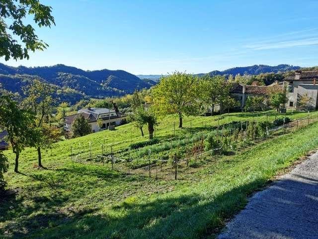 Vendita vendita, Tarzo Vendita vendita, Tarzo foto